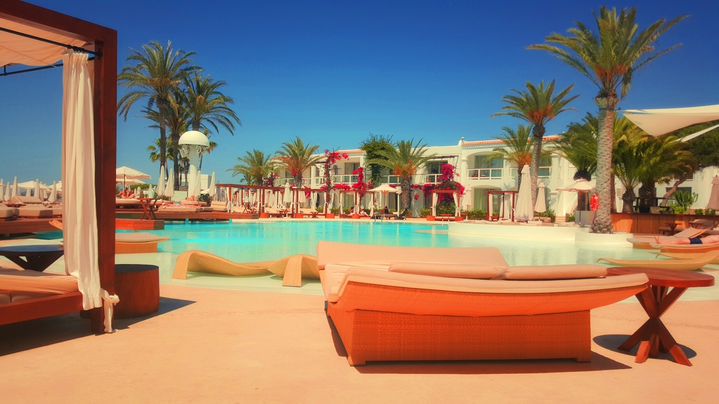 Insights into Travel and Loyalty Strategies